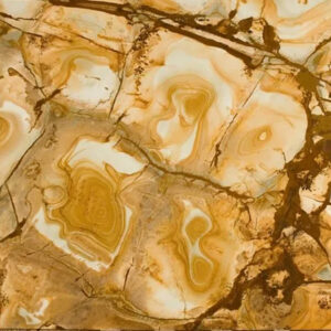 Exotic Sample 1