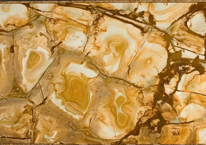 Exotic Stone Sample